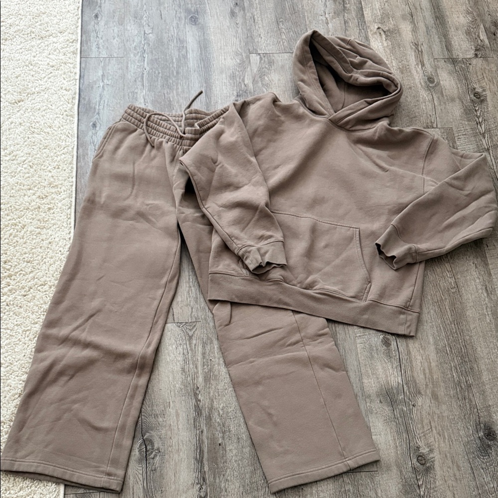 Aritzia Brown Hoodie Sweater